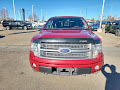 2010 Ford F-150 Platinum