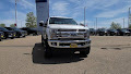 2019 Ford Super Duty F-250 SRW XL