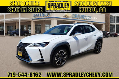 2020 Lexus UX