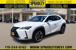 2020 Lexus UX UX 250h