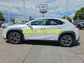2020 Lexus UX UX 250h