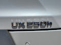 2020 Lexus UX UX 250h