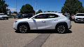 2020 Lexus UX UX 250h
