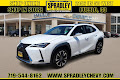 2020 Lexus UX UX 250h