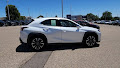 2020 Lexus UX UX 250h