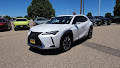 2020 Lexus UX UX 250h