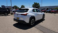 2020 Lexus UX UX 250h