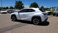 2020 Lexus UX UX 250h