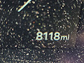 2024 Kia EV9 Light Long Range