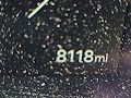 2024 Kia EV9 Light Long Range