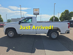 2020 Chevrolet Silverado 1500 Work Truck