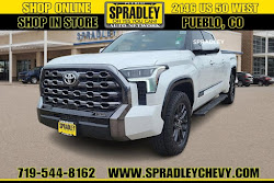 2022 Toyota Tundra 4WD Platinum
