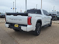 2022 Toyota Tundra 4WD Platinum