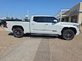 2022 Toyota Tundra 4WD Platinum