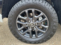 2022 Toyota Tundra 4WD Platinum