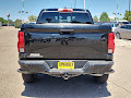 2023 Chevrolet Colorado 4WD Trail Boss