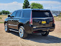 2015 Cadillac Escalade Luxury