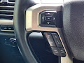 2021 Ford Super Duty F-250 SRW Platinum