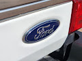 2021 Ford Super Duty F-250 SRW Platinum