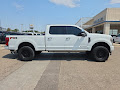 2021 Ford Super Duty F-250 SRW Platinum