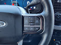 2024 Ford Super Duty F-250 SRW Platinum