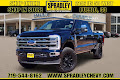 2024 Ford Super Duty F-250 SRW Platinum