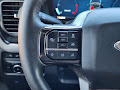 2024 Ford Super Duty F-250 SRW Platinum